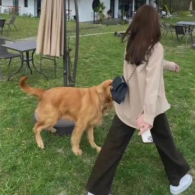 当我们在一起